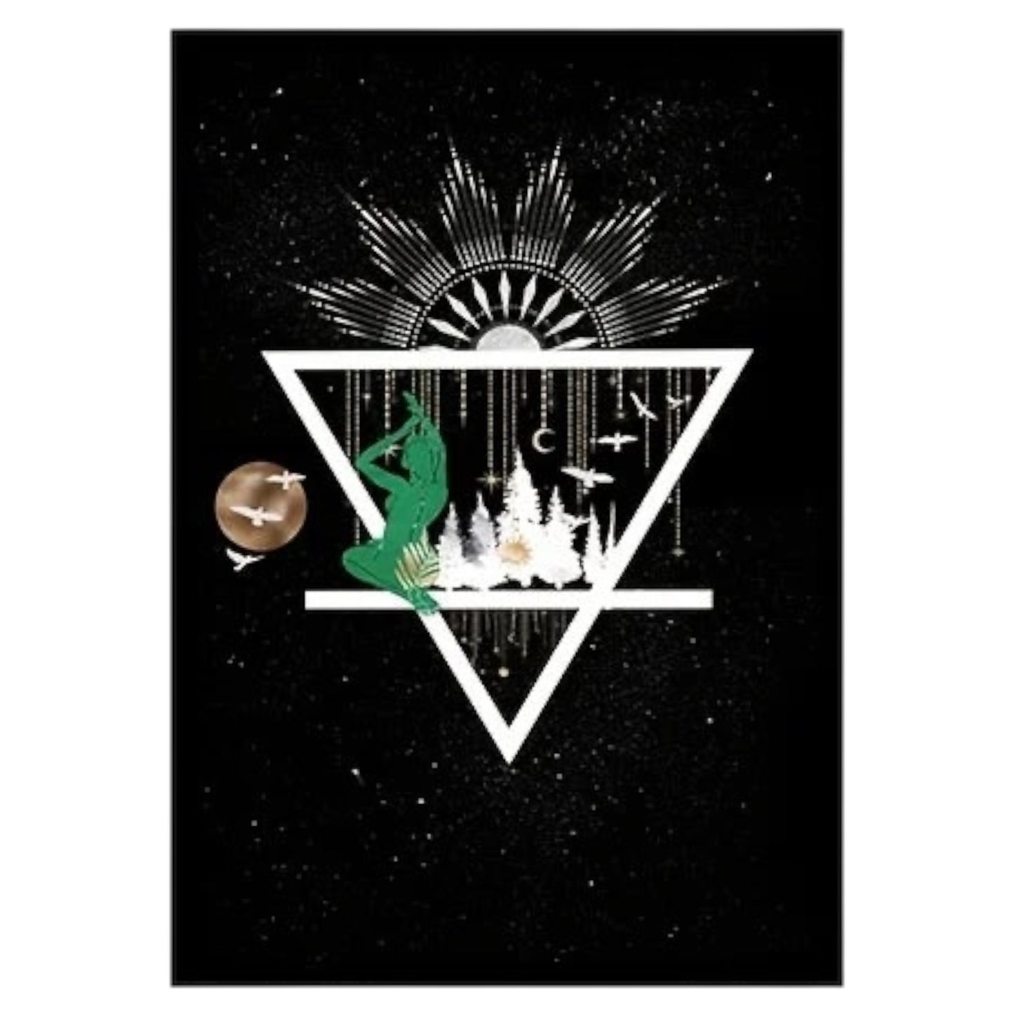 009 - Four Elements Canvas Print