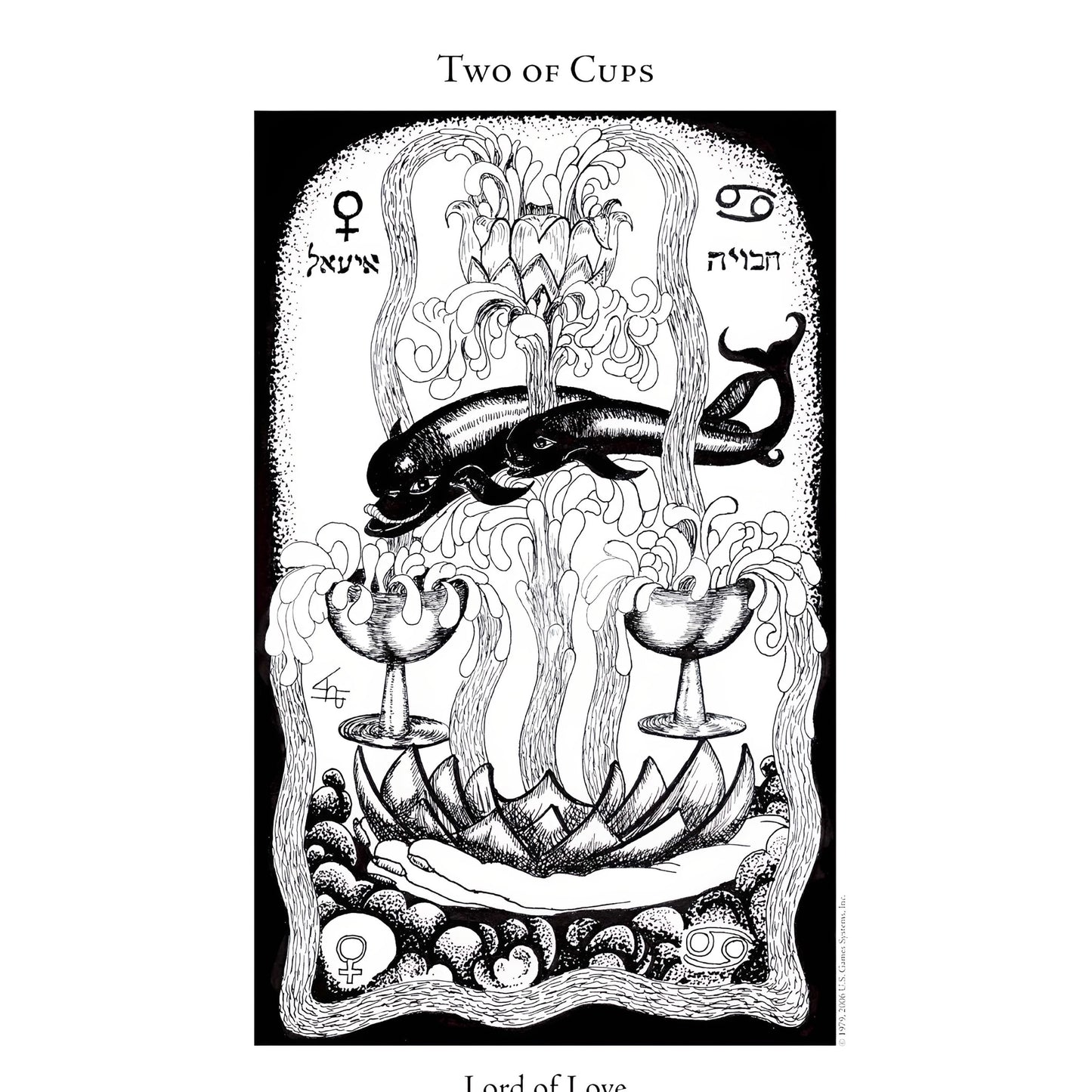 005 - The Hermetic Tarot Card Deck For Divination