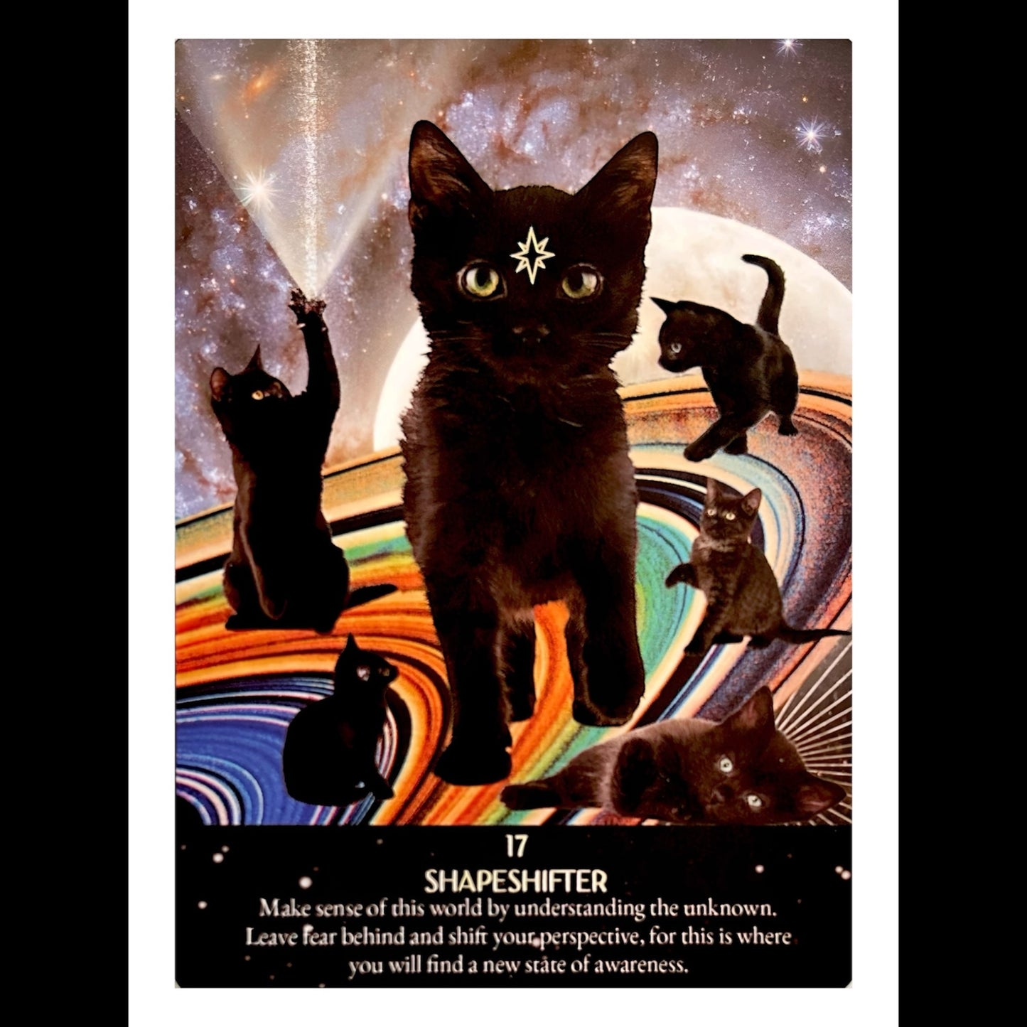 005 - Starlight Frequencies Oracle