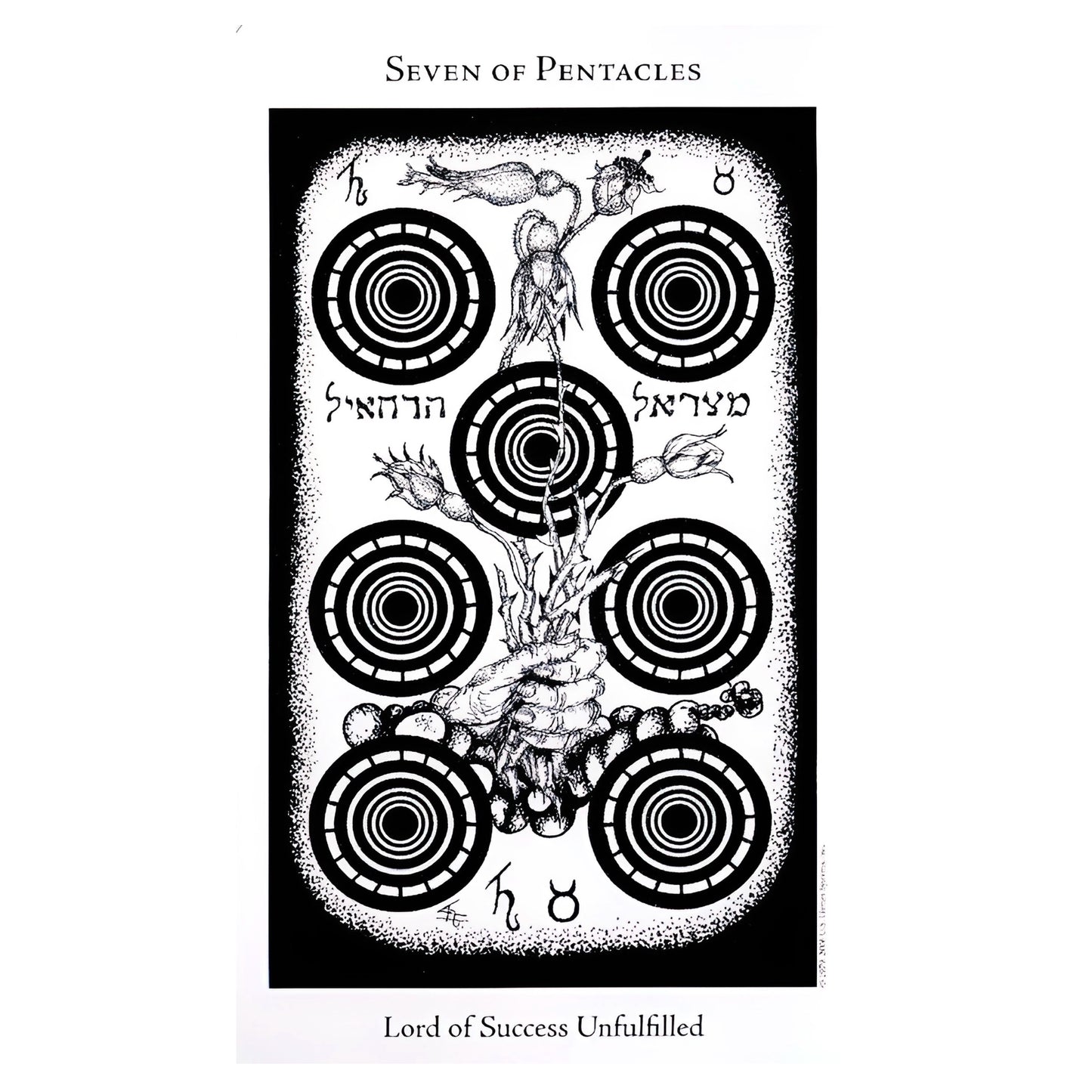 005 - The Hermetic Tarot Card Deck For Divination