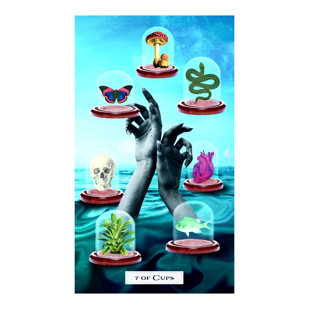 005 - Tarot of the Cosmic Seed Deck