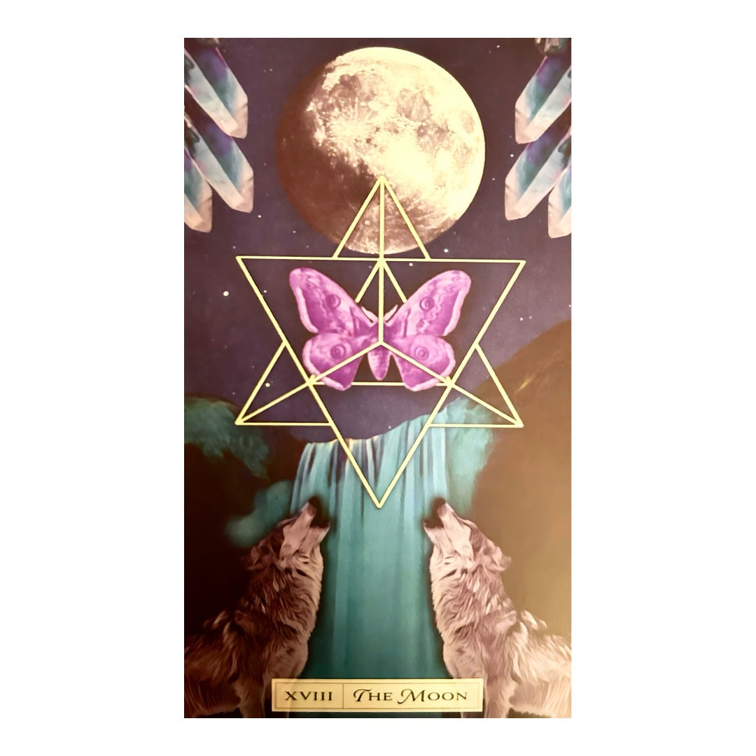 005 - Tarot of the Cosmic Seed Deck
