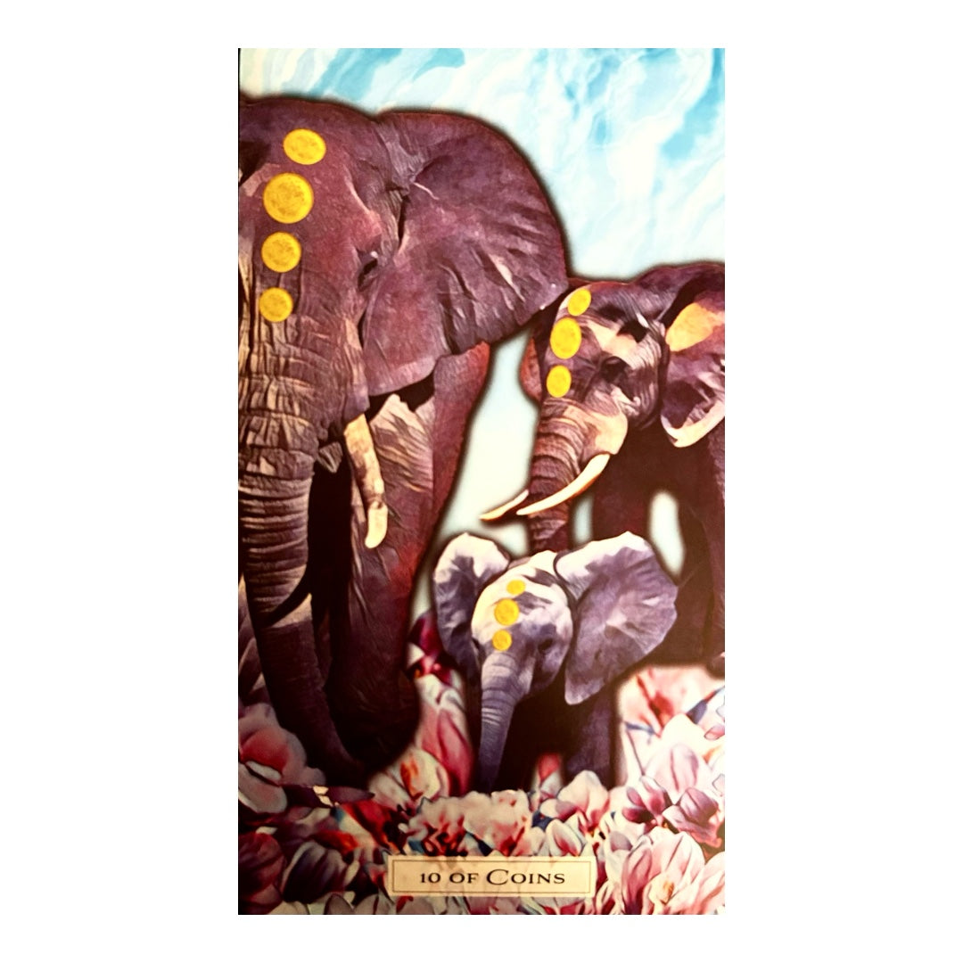 005 - Tarot of the Cosmic Seed Deck