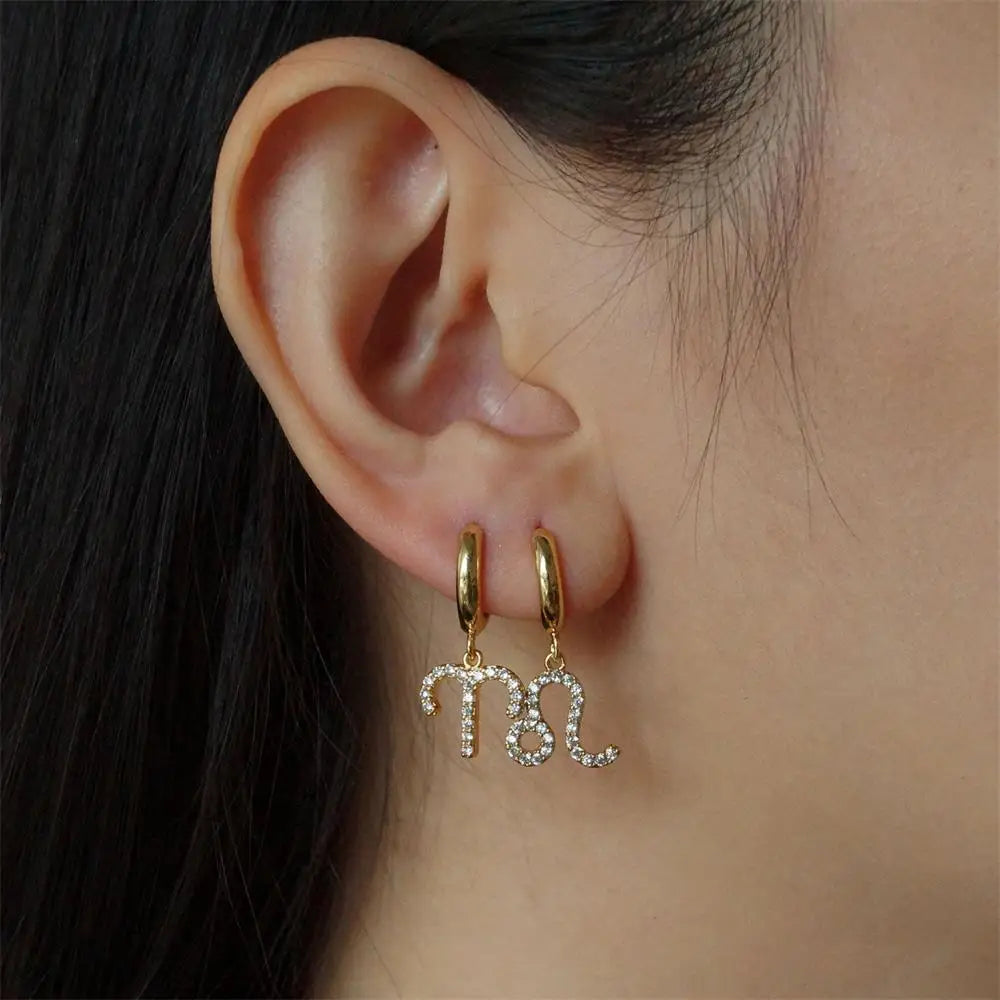 011 - Exquisite Zodiac Sign Drop Earrings
