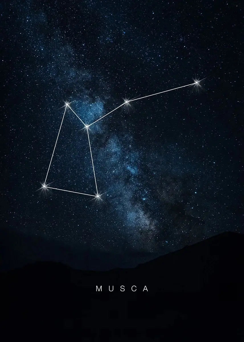 009 - Galaxy Constellations Canvas Print Wall Art