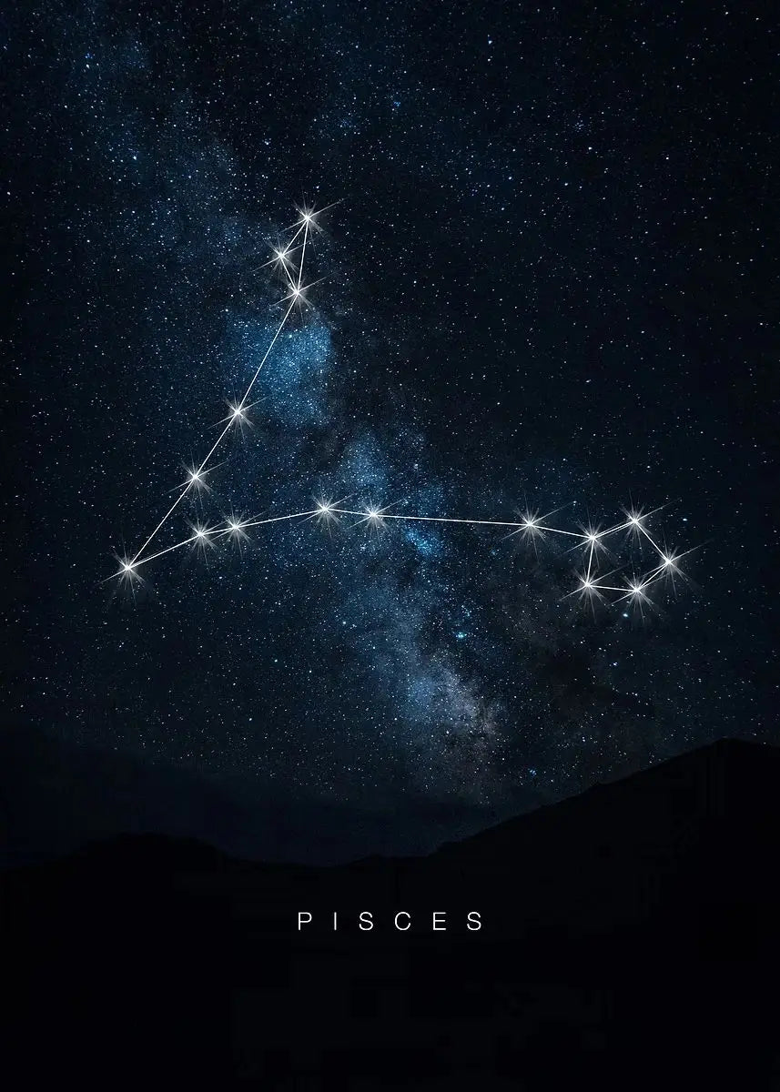 009 - Galaxy Constellations Canvas Print Wall Art