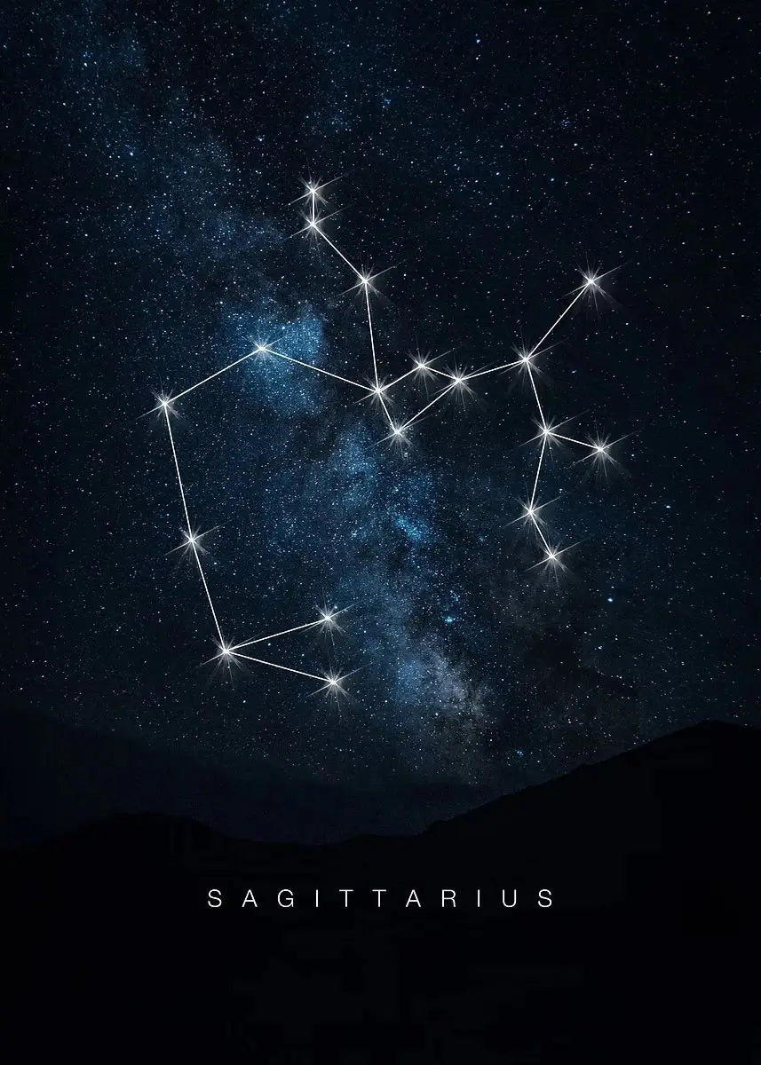 009 - Galaxy Constellations Canvas Print Wall Art