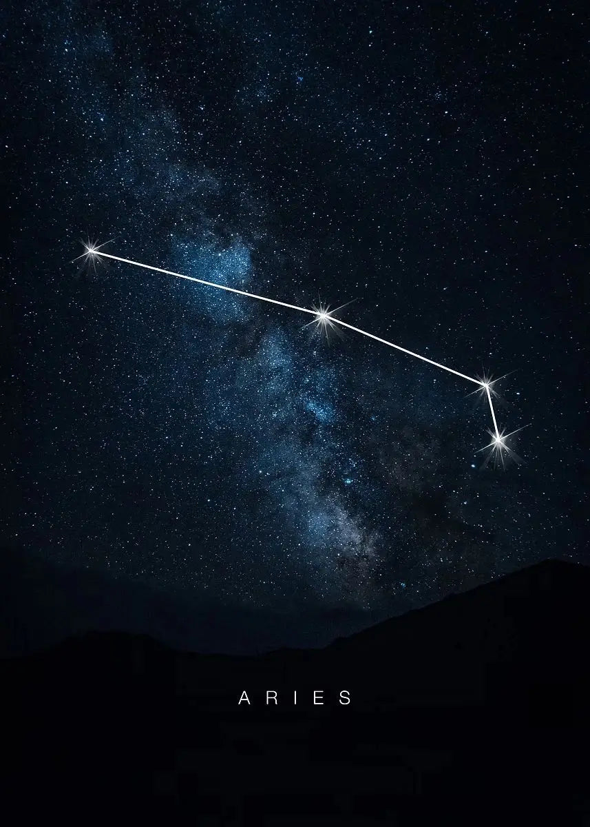 009 - Galaxy Constellations Canvas Print Wall Art