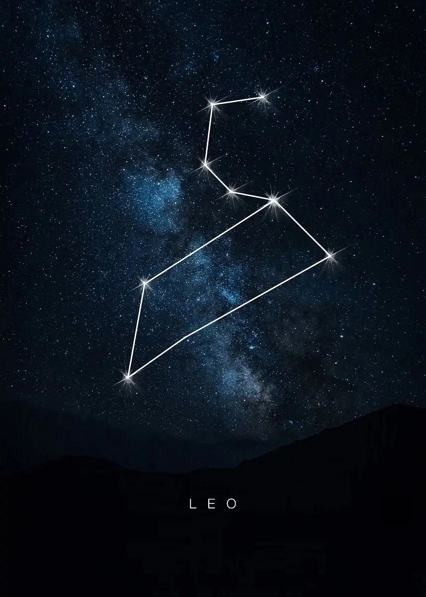 009 - Galaxy Constellations Canvas Print Wall Art