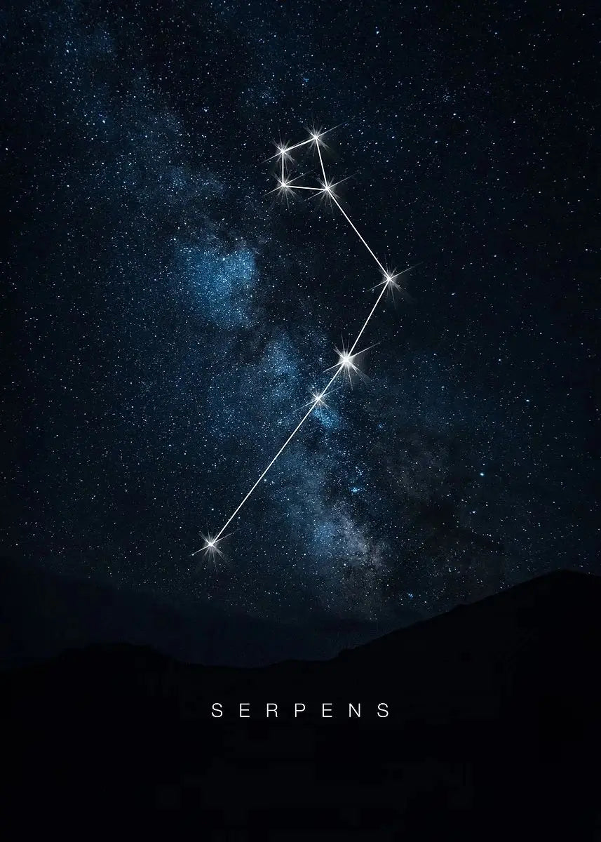 009 - Galaxy Constellations Canvas Print Wall Art