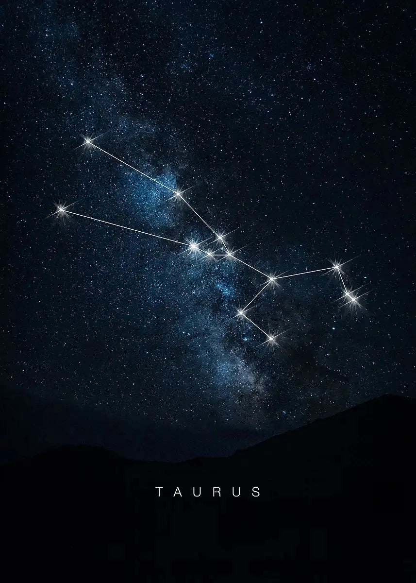 009 - Galaxy Constellations Canvas Print Wall Art