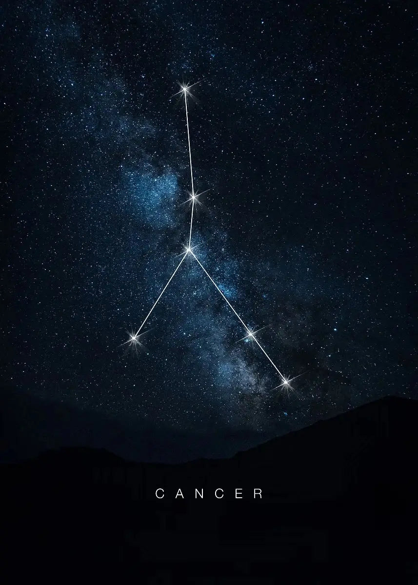 009 - Galaxy Constellations Canvas Print Wall Art