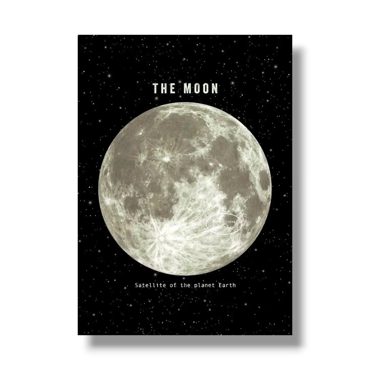 009 - Planetary Canvas Print Wall Art