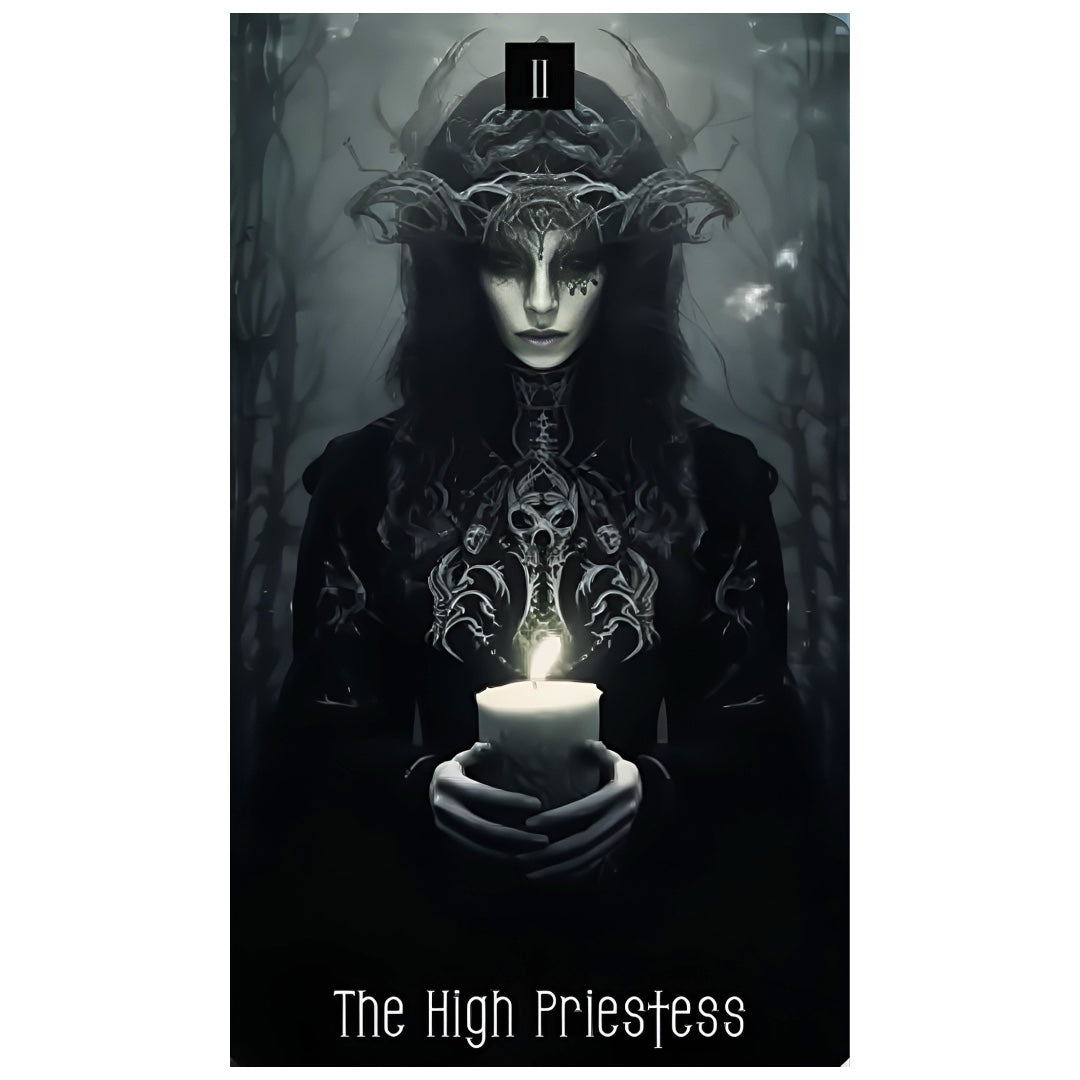 005 - Dark Beauty Tarot w/ Guidebook for Macabre Divination