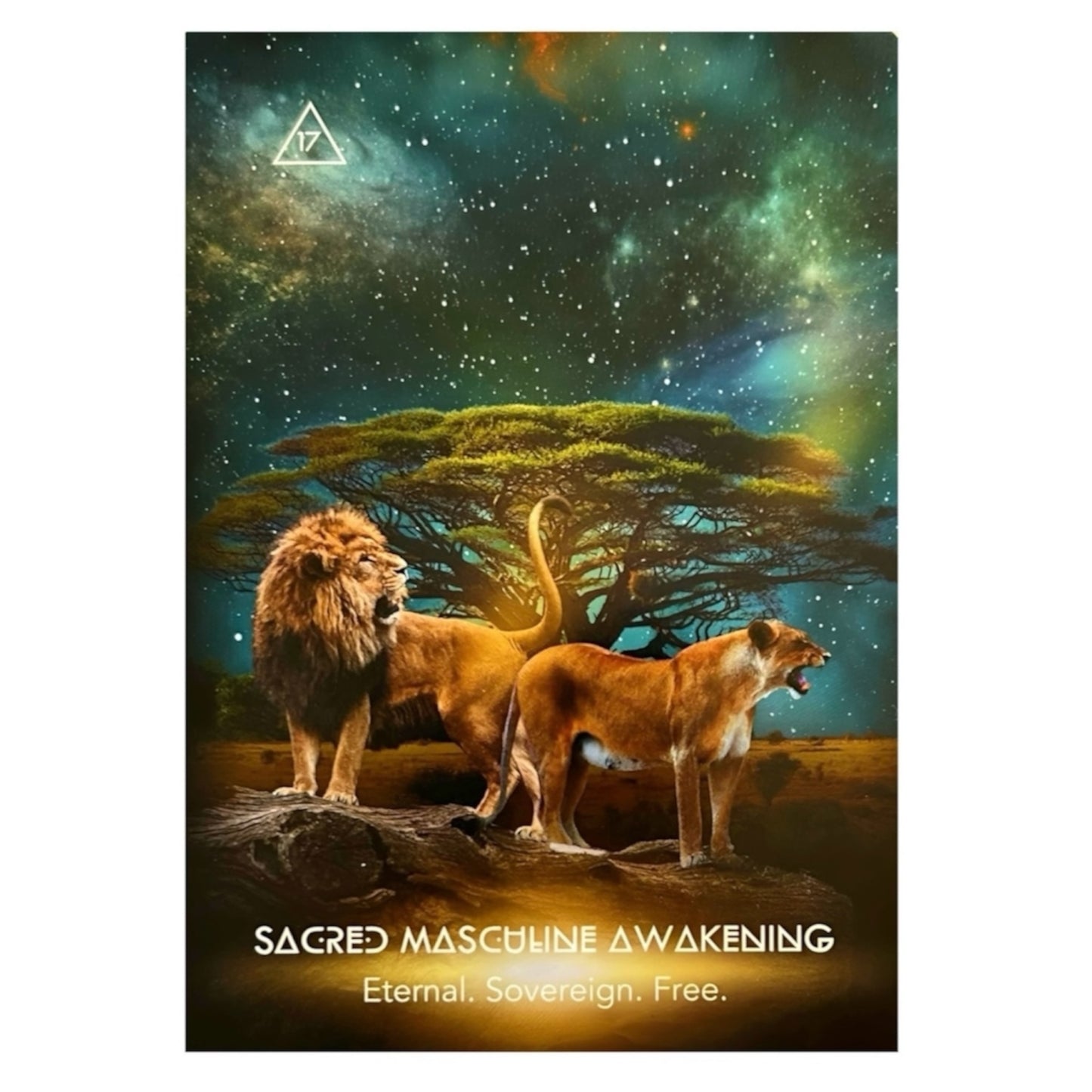 005 - Creatix Awakening 33 Cards Oracle Deck