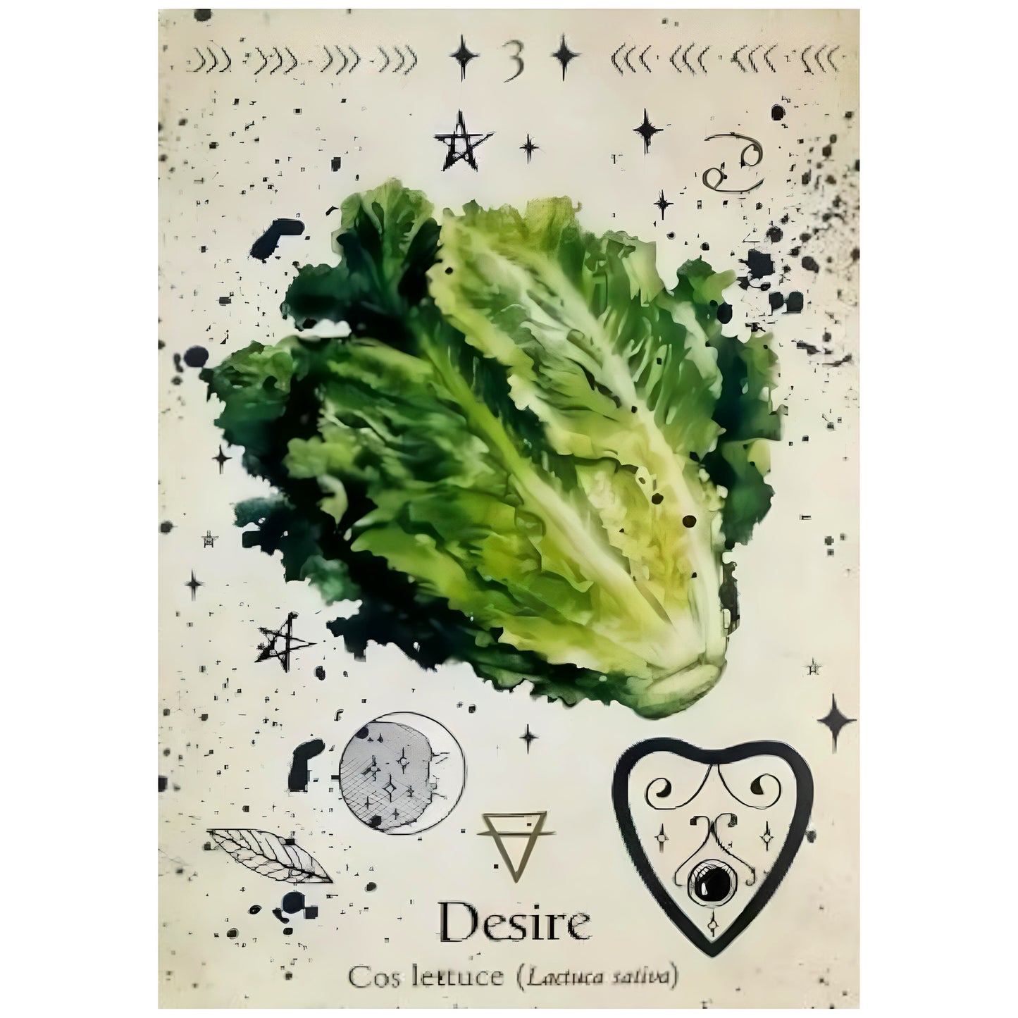 005 - Green Witch Oracle 50 Cards Deck