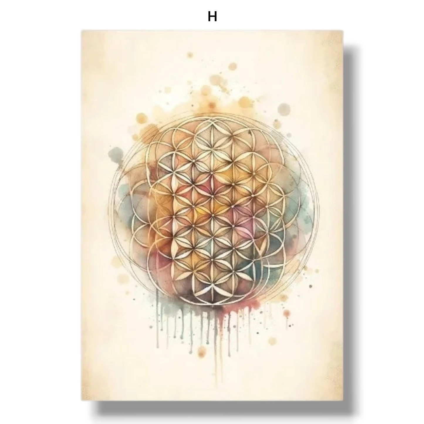 009 - Boho Sacred Geometry Canvas Print Wall Art