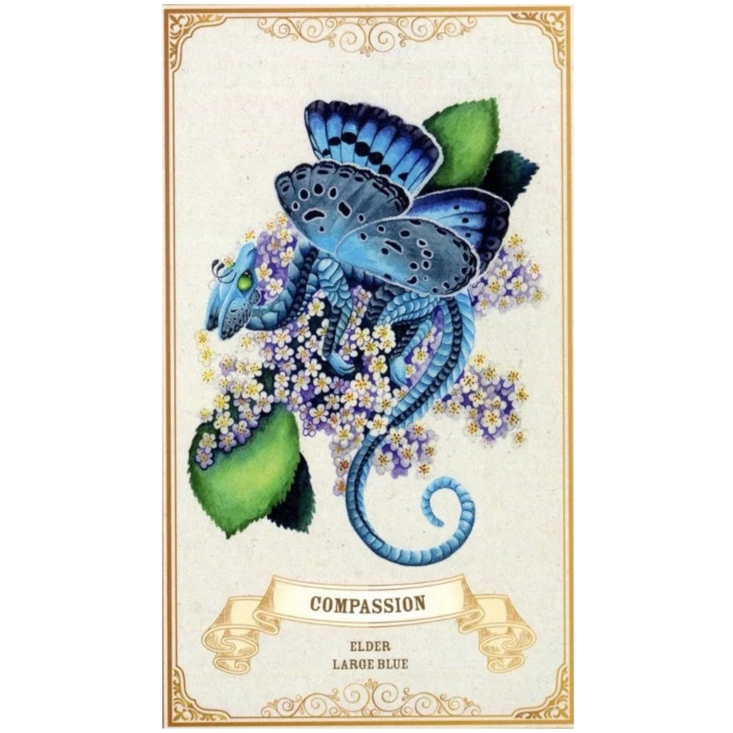 005 - Enchanted Blossoms Empowerment Oracle 44 Cards Deck