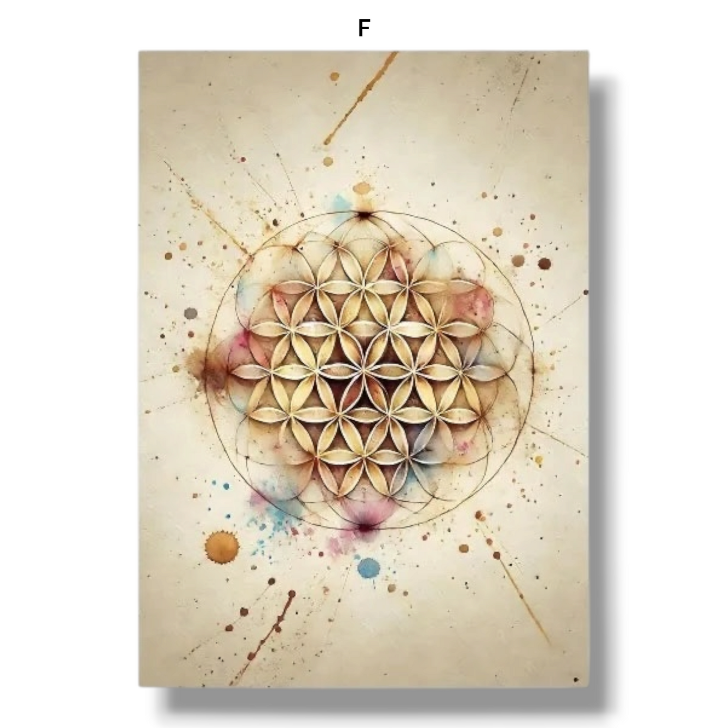 009 - Boho Sacred Geometry Canvas Print Wall Art