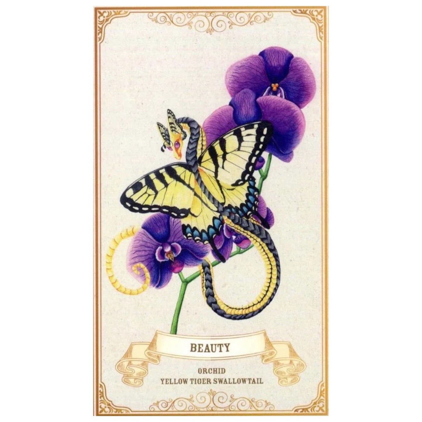 005 - Enchanted Blossoms Empowerment Oracle 44 Cards Deck
