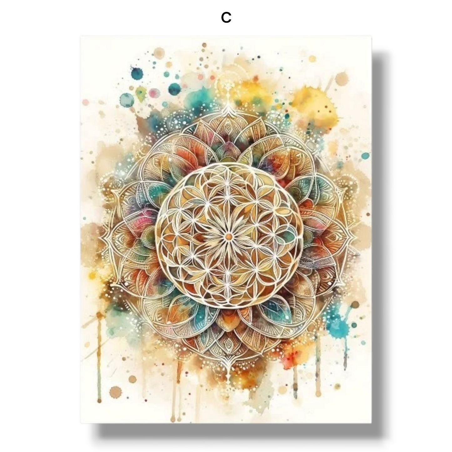 009 - Boho Sacred Geometry Canvas Print Wall Art