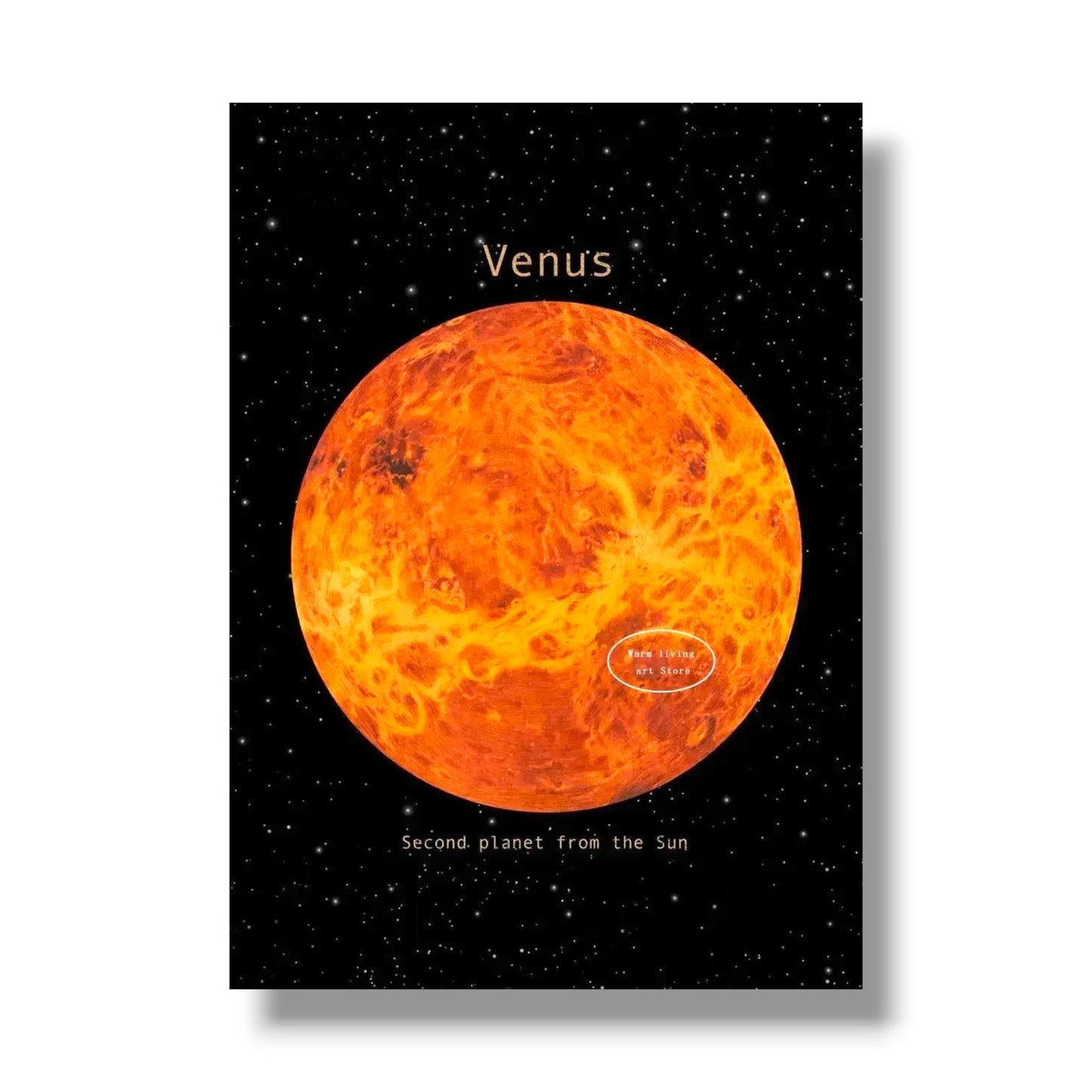 009 - Planetary Canvas Print Wall Art