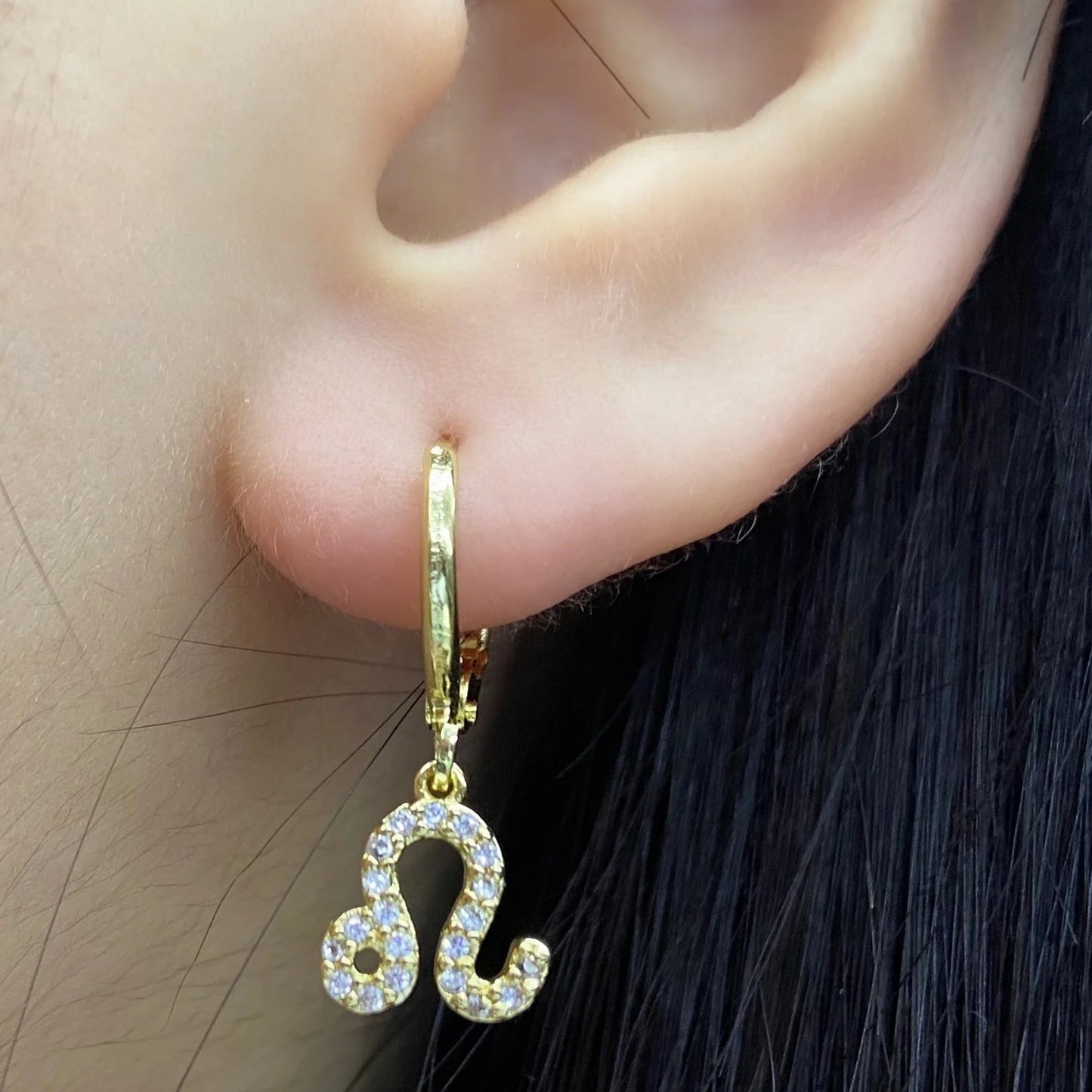 011 - Zodiac Studded 1pc Drop Fashion Earring