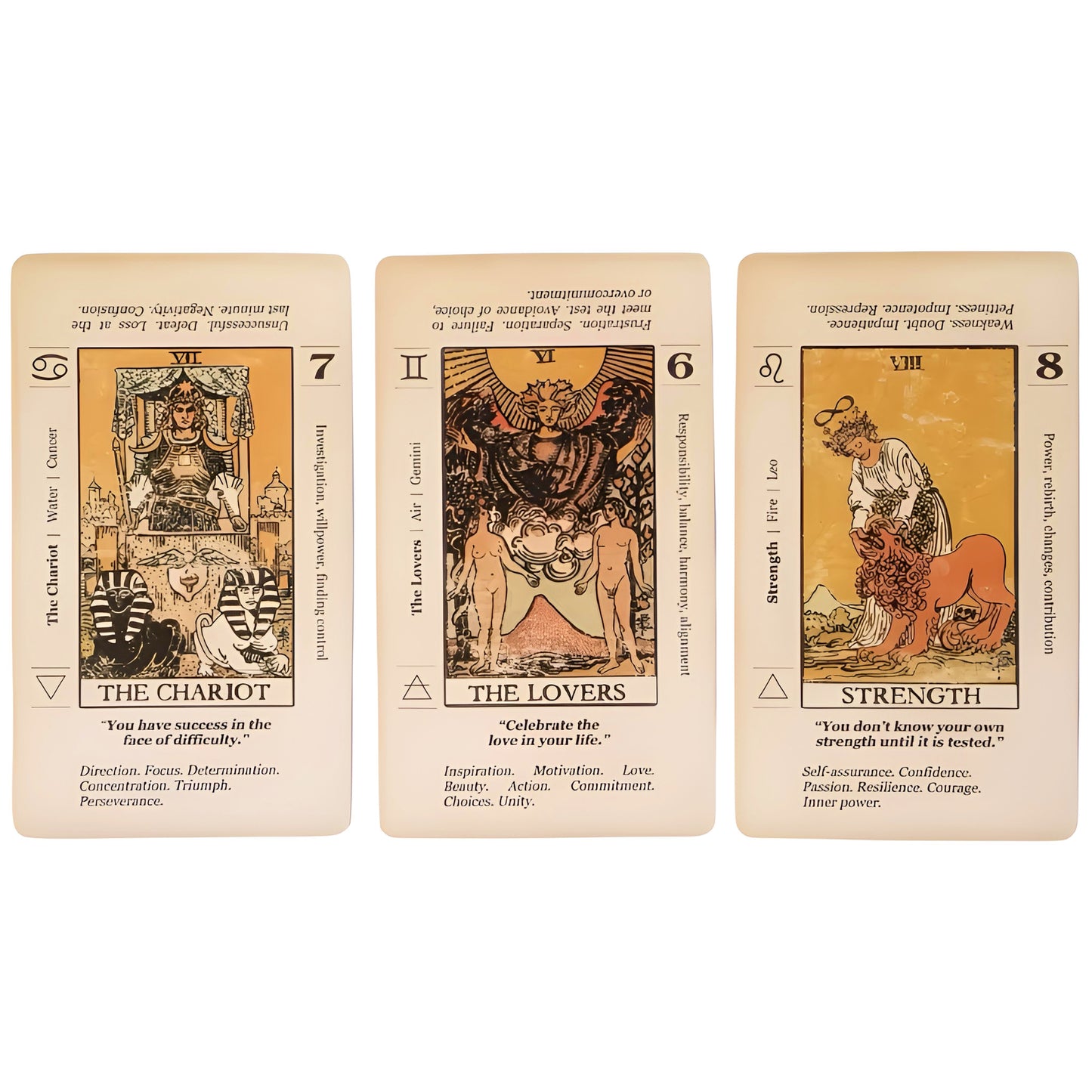 005 - Learning Deck Meaning Tarot Deck with Tin
