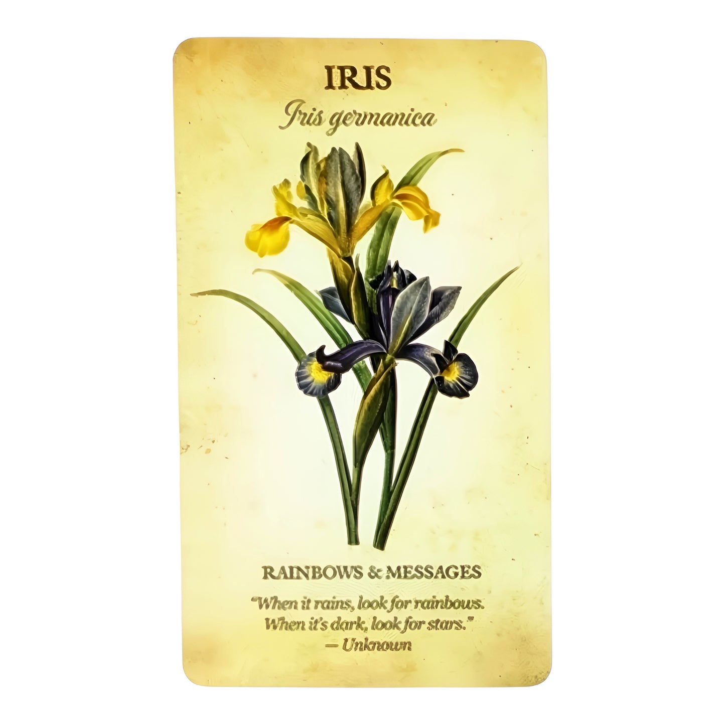005 - Botanical Inspiration 44 Cards Oracle Deck