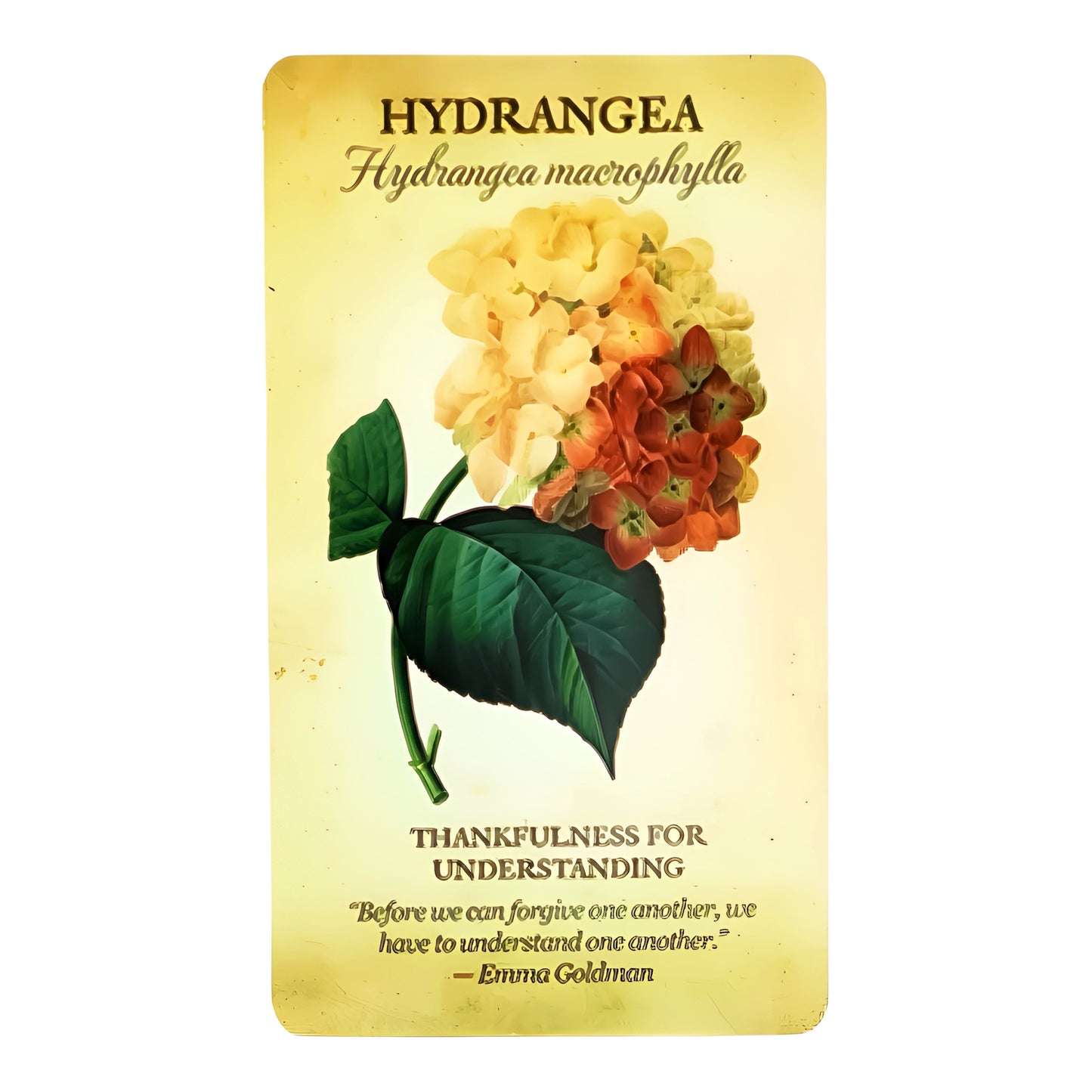 005 - Botanical Inspiration 44 Cards Oracle Deck