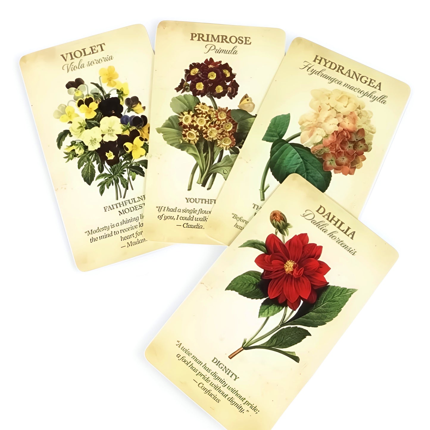 005 - Botanical Inspiration 44 Cards Oracle Deck