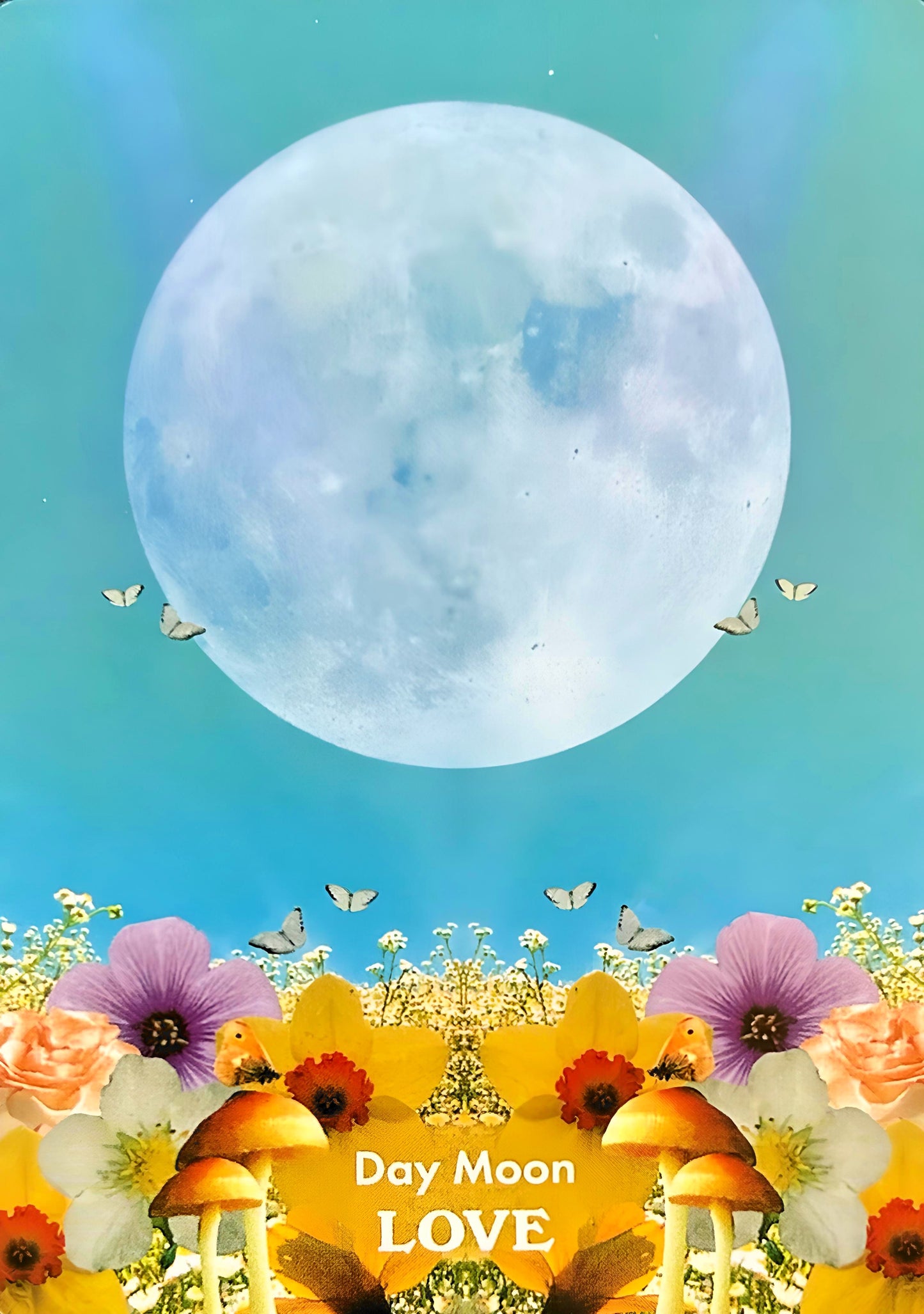 005 - Moonology Messages Oracle 48 Cards Deck