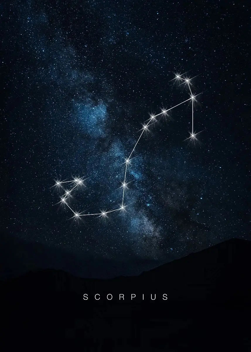009 - Galaxy Constellations Canvas Print Wall Art
