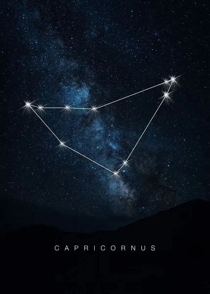 009 - Galaxy Constellations Canvas Print Wall Art